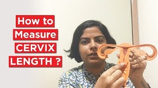 How to Measure Your Cervix Length and Why?