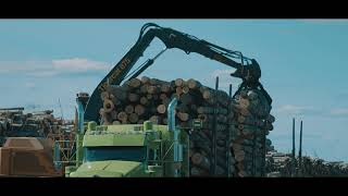 Forestry in Northwest Alberta
