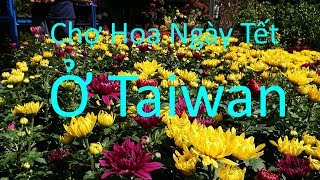 Nhật Ký Đài Loan | Chợ Hoa Ngày Tết Ở Taiwan | MTPL