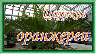 Александровский парк. Царские оранжереи. Экскурсия в верхние теплицы.