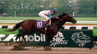 Cigar - 1995 Breeders' Cup Classic + Post Race & Interviews