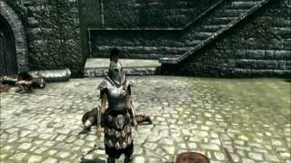 TESV Skyrim Imperial armour male and female night and day