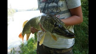 Летняя щука на воблеры и раттлины