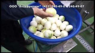 установка по чистке лука CAYP 3000