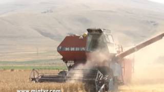 320. MIG TVR VANADZOR, LORI / МИГ ТВР ВАНАДЗОР, ЛОРИ /ԼՈՌՈՒ ՄԱՐԶ  - ԳՅՈՒՂԱՏՆՏԵՍՈՒԹՅՈՒՆ ,,, ՄԻԳ ՀՌԸ