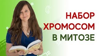 МИТОЗ | Для решения задач ЕГЭ по биологии 2019: набор хромосом и ДНК