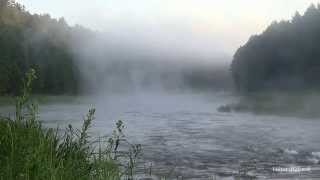 Природа. Река. Медитация. Релакс. Утро. Шум, звук,  воды. Туман. В лесу. Вилия.