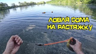 Ловля сома на растяжку