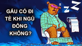 36 Sự Thật Ít Biết Về Động Vật