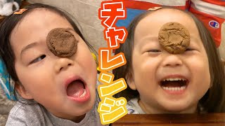 【ノーハンドキャッチ】おでこにのせたクッキーを食べろ！　家族みんなでチャレンジ！