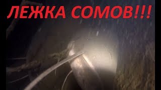 Нашел Лежку Больших Сомов!Подводная охота 2019!