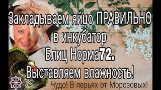 Закладка инкубационног яйца в инкубатор Блиц 72//как проложить яйца//Выставляем влажность.
