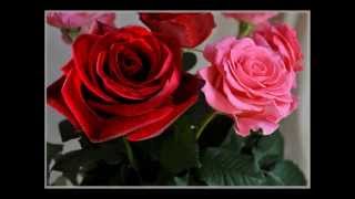 Музыка цветов. Для женщин. Самые красивые цветы!