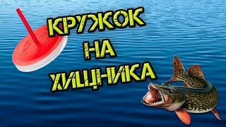 Кружок на Хищника. Обзор снасти