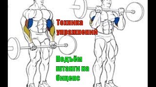 Подъём штанги на Бицепс. Правильный Бодибилдинг. Техника #22