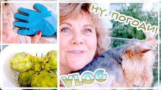 МОЙ ЛИЧНЫЙ КРИПТОНИТ | VLOG / ВЛОГ : 30.06.2019
