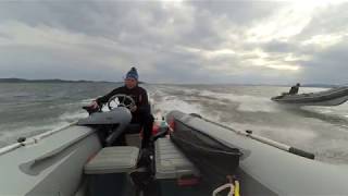 SUZUKI DT30 vs YAMAHA 30H. Риб АЭРО Комета 420 и Орлан 400