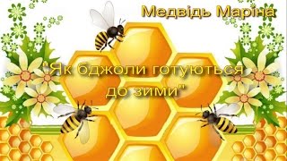 Як бджоли готуються до зими