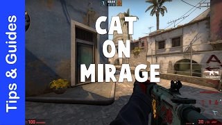Cat on De_Mirage