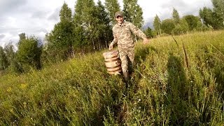 Ловля  роев,  рой в два кг.