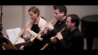 Telemann - Concerto for 3 Oboes, 3 Violins and Continuo - TWV 44:43 - Croatian Baroque Ensemble