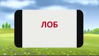 Развивающий мультфильм Человек и  части тела