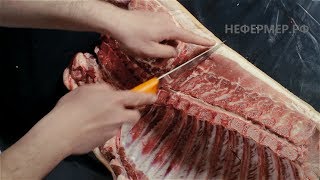 Как разделать переднюю четвертину