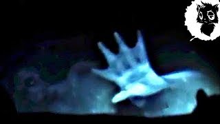 5 СЛУЧАЕВ КОГДА РУСАЛКУ СНЯЛИ НА КАМЕРУ [Черный кот]