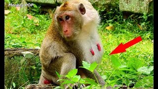 Mom Jane stop walk sit hug belly feel hurt belly baby hard move inside| Jane smile welcome new baby.