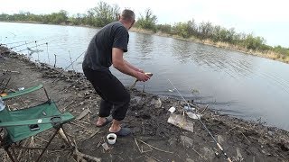 Нашел много карася! Ловля карася на кормушку! Рыбалка 2019 весна. О такой рыбалке я только слышал!