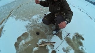 Ноябрьский Перволёдок Рыбалка за Щукой на Жерлицы Ловлю Щуку Зимой - MaxFishing №33