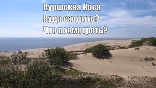 Куршская коса. Что посмотреть и куда сходить