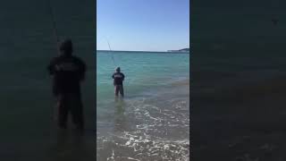 Ловля кефали ( лобаня) с берега на черном море