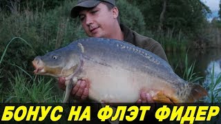 ОГРОМНЫЙ КАРП УТАЩИЛ СНАСТИ.  50ТЫС  на поводке 0,15мм.  Флэт фидер