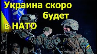 До вступления Украины в НАТО остались считанные годы.