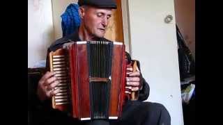 МАТАНЯ -Пахомов Анатолий Филиппович, рояльная гармонь и хромка
