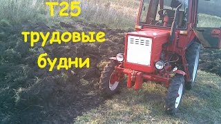 Т25   трудовые будни / T25 working life