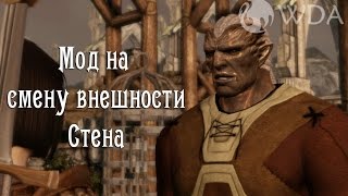 Мод на смену внешности Стена в Dragon age Origins
