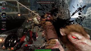 Warhammer Vermintide 2 - Stout Savior