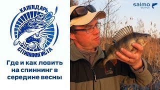 Как и где ловить на спиннинг в середине весны. Календарь спиннингиста.