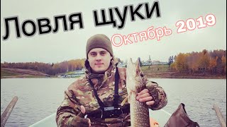 Ловля щуки осенью на озере в Ленинградской области.  Ловля щуки в октябре 2019. Рыбалка осенью.