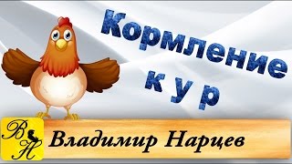 #Курятник. Кормление кур.