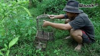 Tarzan x || please jangan nonton sambil makan || wasah tv
