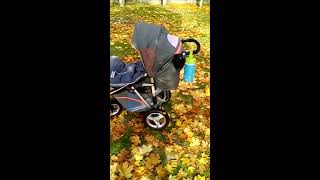 Обзор коляски Geoby C780
