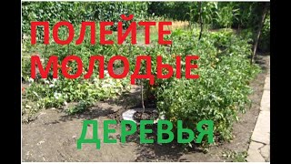 ЭТО ОБЯЗАТЕЛЬНО СДЕЛАЙТЕ ПРЯМО СЕЙ ЧАС