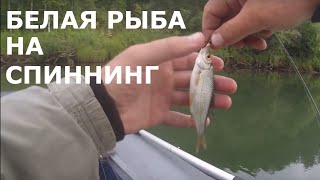 Мормышинг на ультралайт с лодки. Белая рыба на спиннинг Graphiteleader Bellezza. Рыбалка на Чулыме.