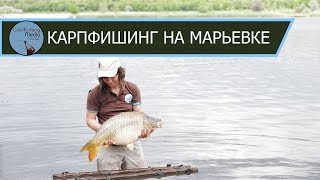 Карпфишинг на Марьевском водохранилище (Май 2016 г.)