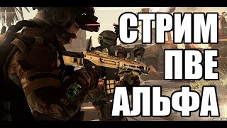 WARFACE Стрим на АЛЬФА. ПВП, Спецоперации с золотом из "Абсолютной Власти"