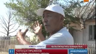 Қызылағаш тұрғындары енді қурап қалған ағаштардың астында қаламыз ба деп қорқады