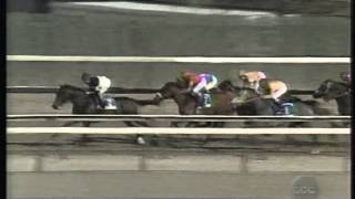 1995 Wood Memorial Stakes - Talkin Man + Post Race